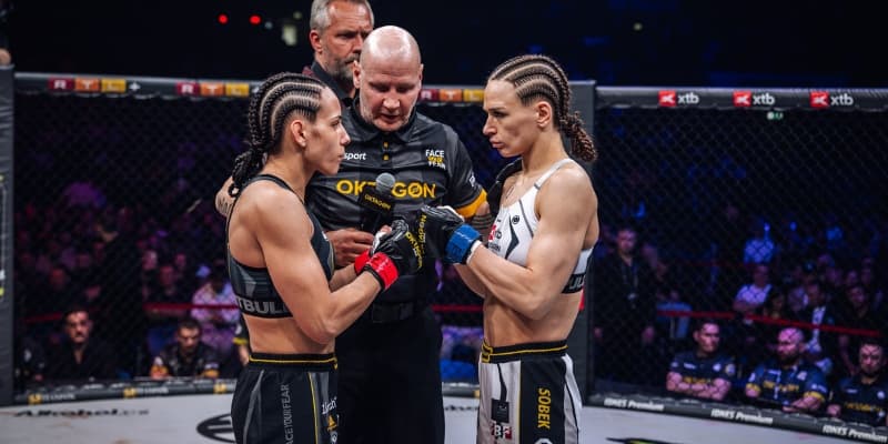 THE STUTTGART EVENT THROUGH THE EYES OF THE JUDGES: WHAT DECIDED THE CLOSE FIGHTS?