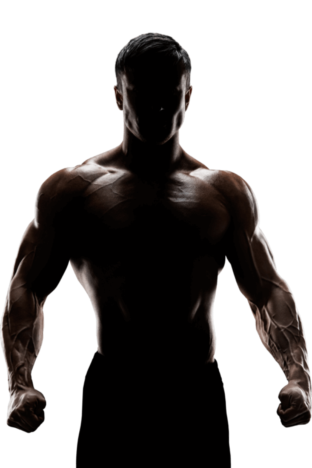 Rankings OKTAGON MMA